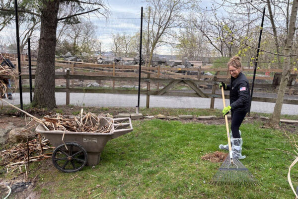 Central NY team at the zoo volunteer day